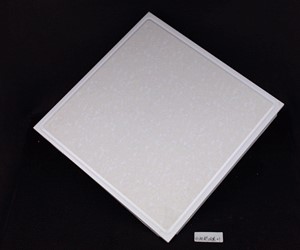 白柜舒枝展叶